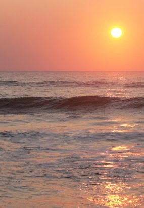 TSmith_070818_9942_2K