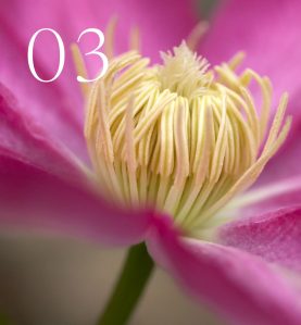 simple-steps-3